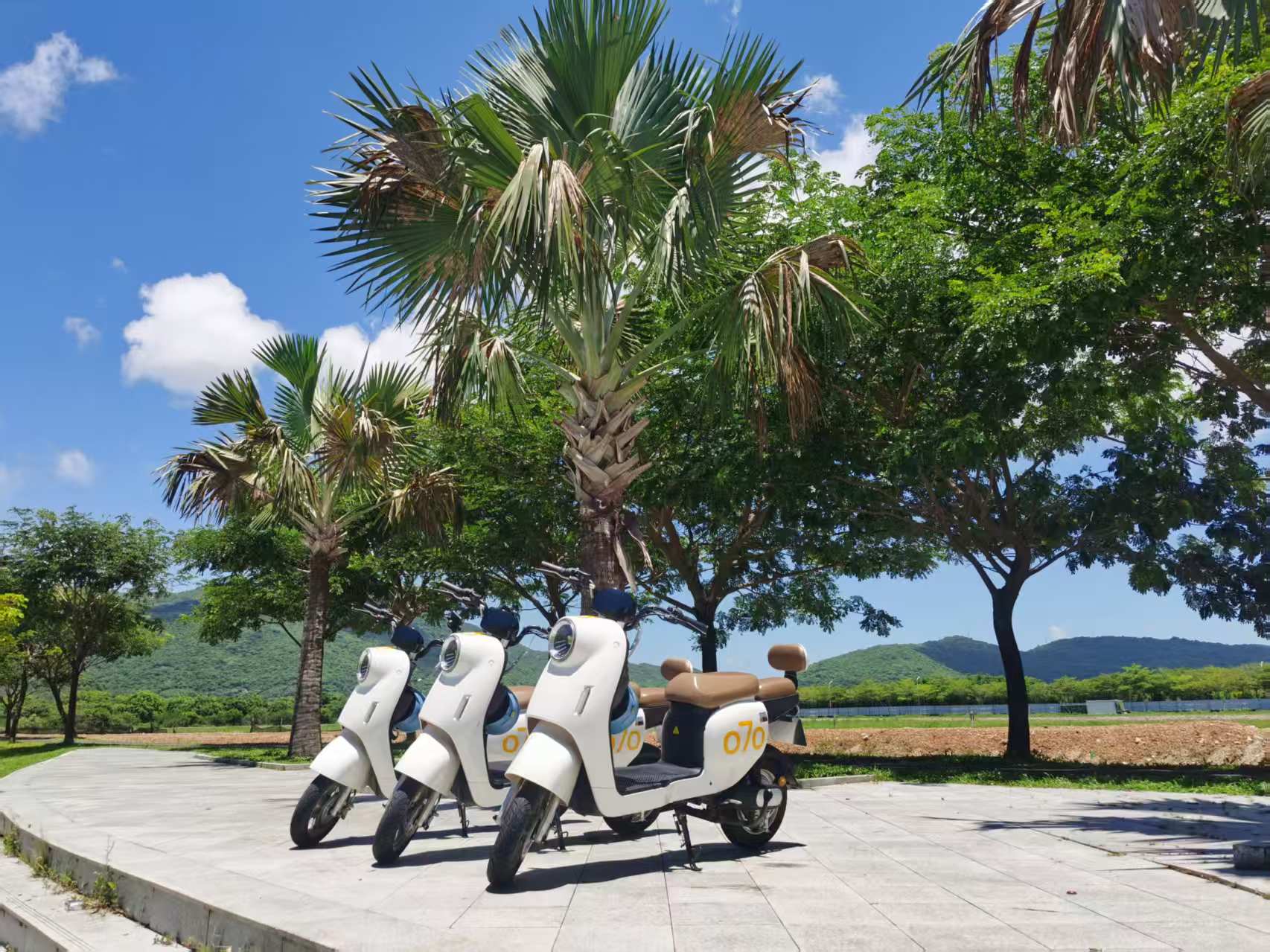 1738912740392709.jpg 1738912740392709.jpg